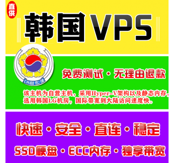 韩国VPS机房4096M国外，搜索引擎推广与优化